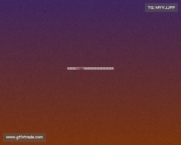 深度解析深圳2017年各类赛事活动安排时间表与参与方式全攻略